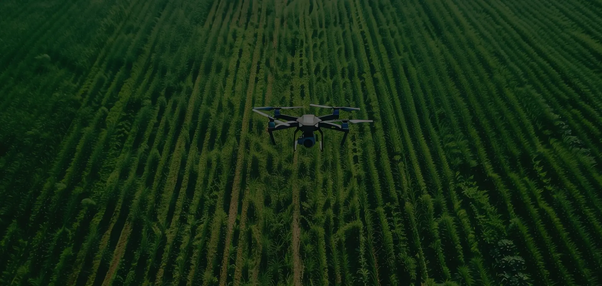 leading farming drone in australia leading farming drone in australia